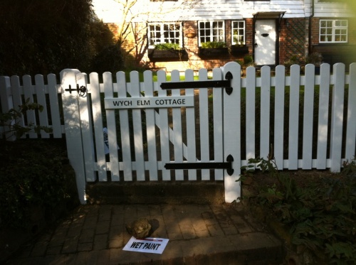 Bespoke Pedestrian Gate